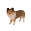 Sheltie (Sable) - Image 2