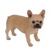 French Bulldog (Fawn) - Image 2