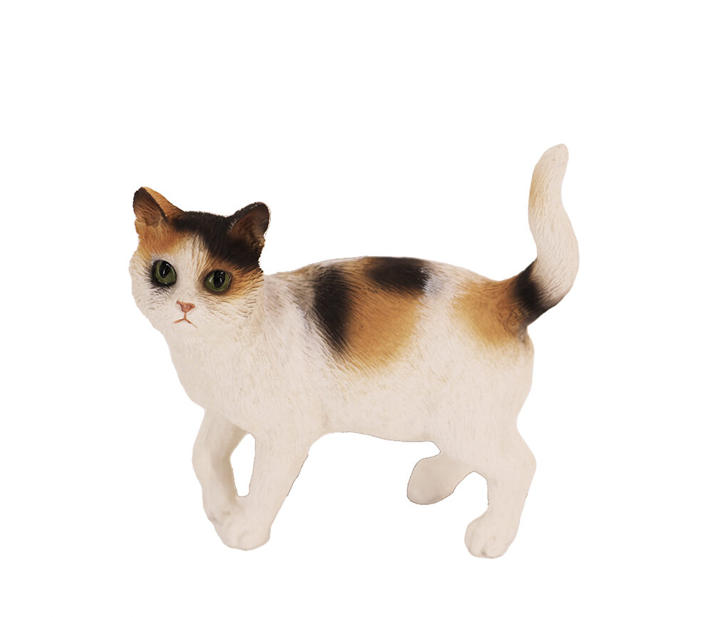 Cat (Tri-Color) - Image 2