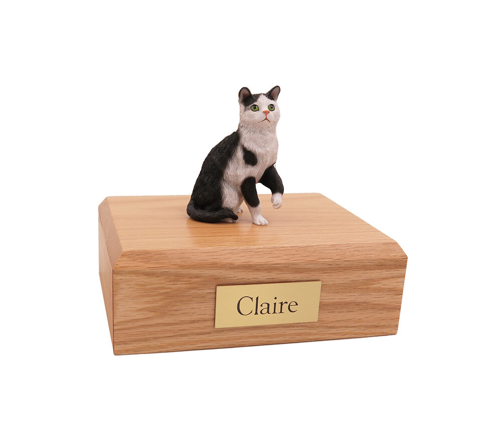 Short hair Cat (Black/White)