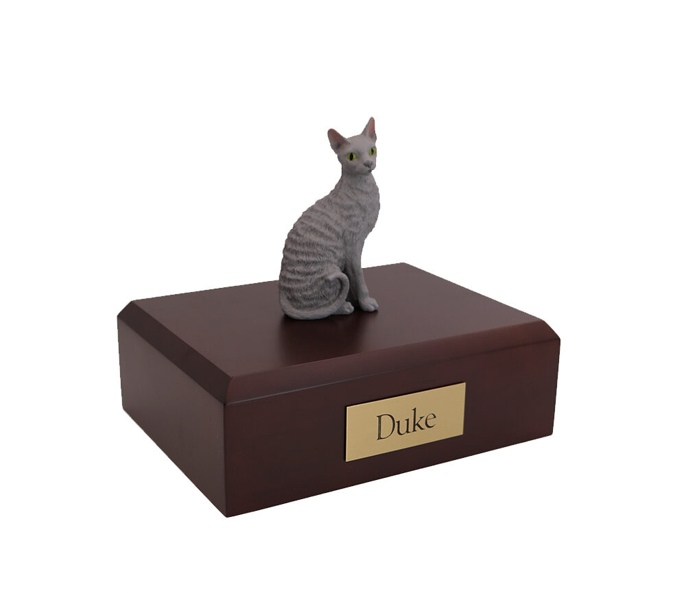 Cornish Rex Cat (Blue)