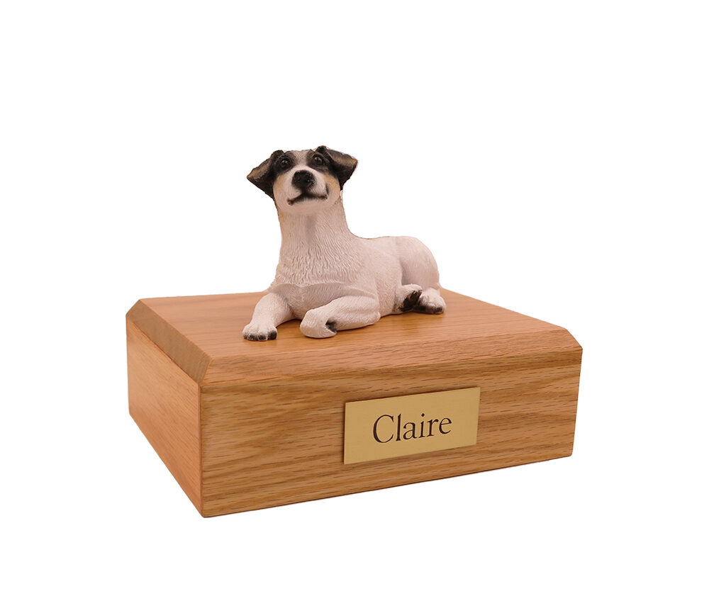 Jack Russell Terrier (Black/White)