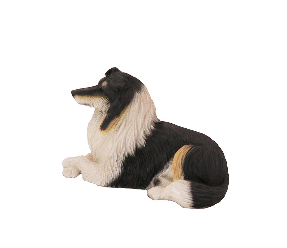 Collie (Tri-Color)