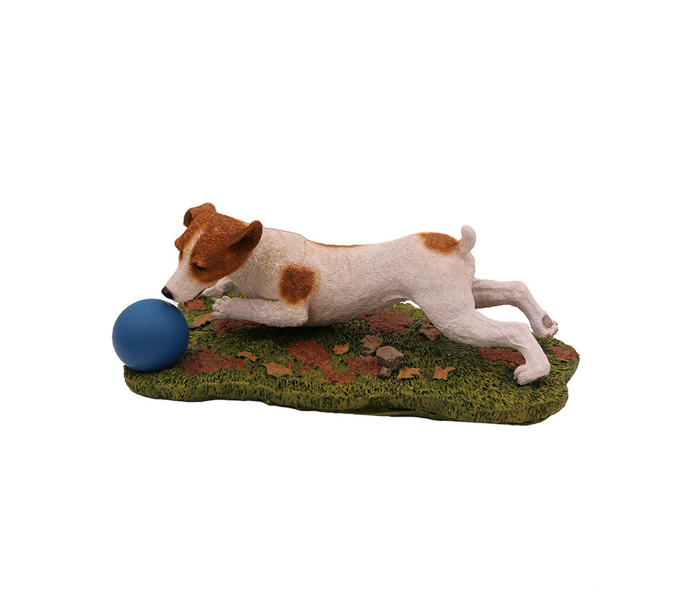 Jack Russell Terrier (Brown/White) - Image 3