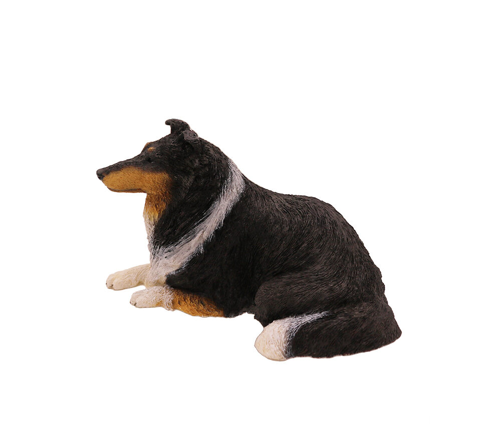 Collie (Tri-Color)
