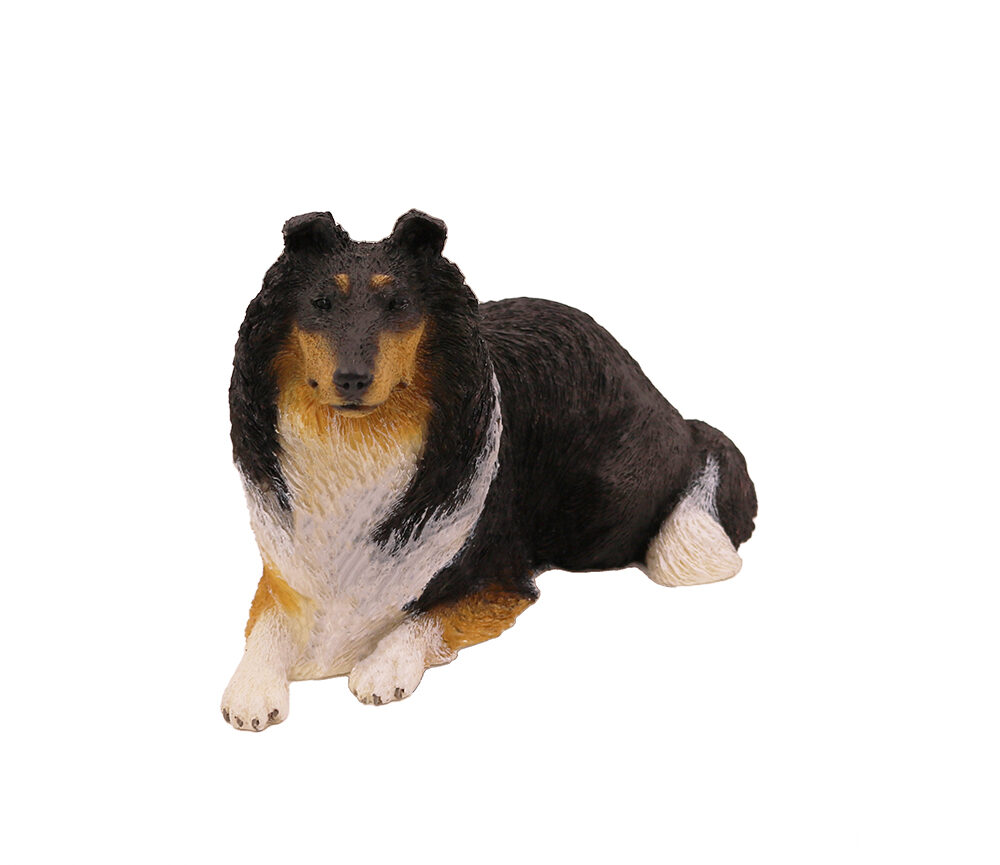 Collie (Tri-Color)