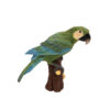 Green Parrot - Image 2