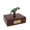 Green Parrot