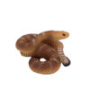 Rattlesnake - Image 3