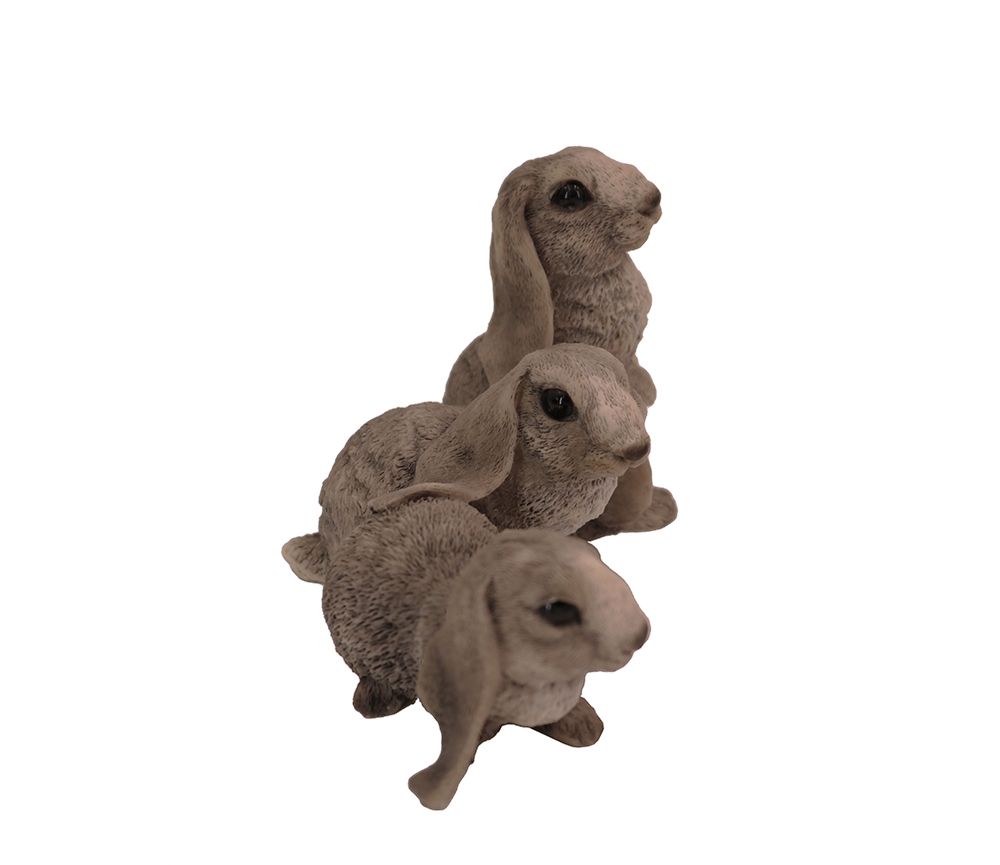 3 Gray Rabbits Side by Side - Image 3