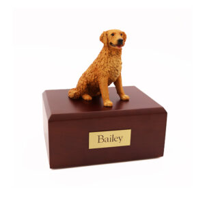 Golden Retriever (Golden)