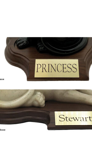 Faithful Feline Cat Base