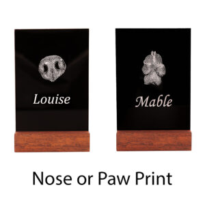 Glass Lasered Nose or Paw Print Memorial