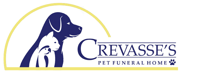 color_logo_new